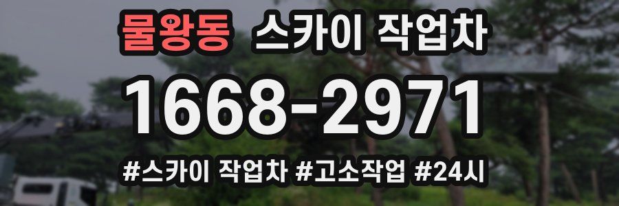 물왕동 스카이 작업차