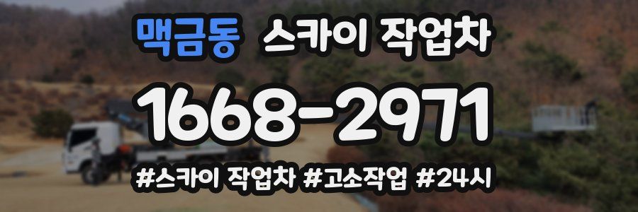 맥금동 스카이 작업차