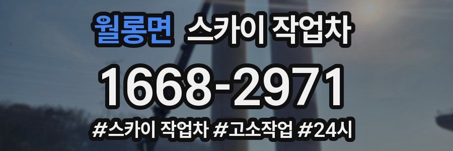 월롱면 스카이 작업차