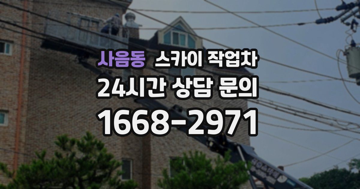 사음동 스카이 작업차