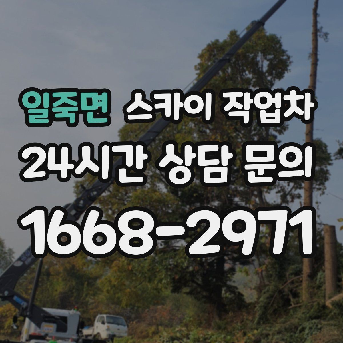 일죽면 스카이 작업차 외벽 실리콘 재시공이 필요한 신호