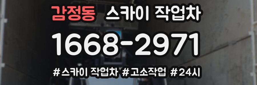 감정동 스카이 작업차