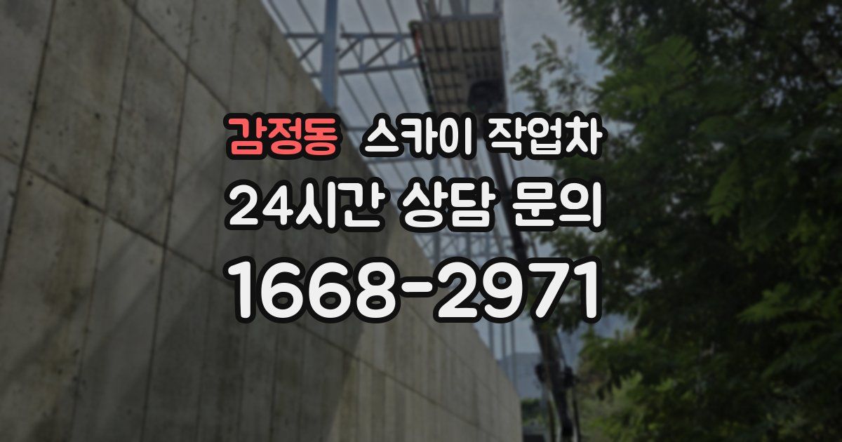 감정동 스카이 작업차