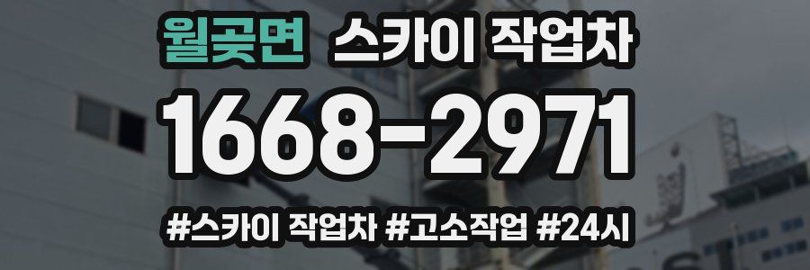 월곶면 스카이 작업차