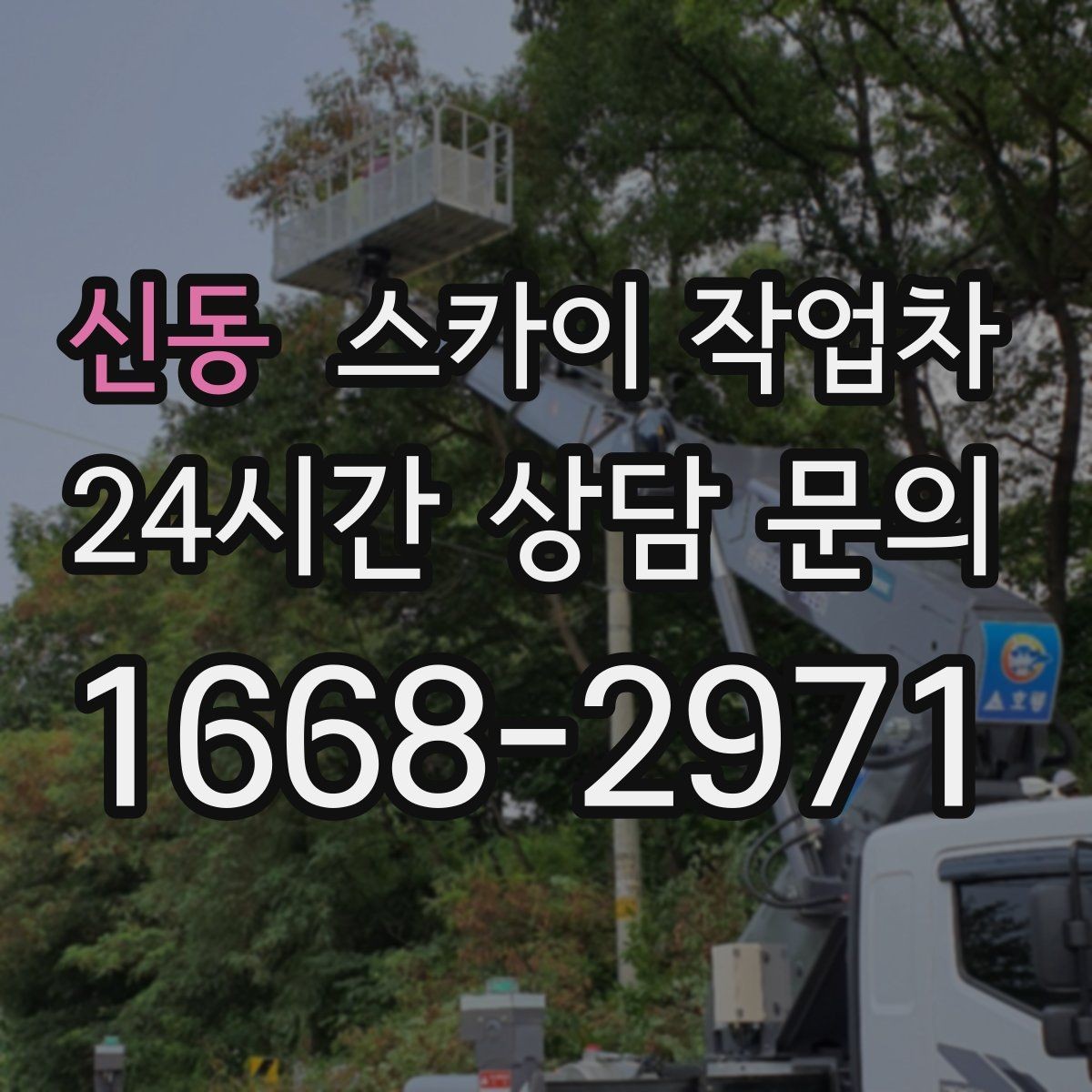 신동 스카이 작업차 필요한 높이를 모르겠다면 이렇게 확인