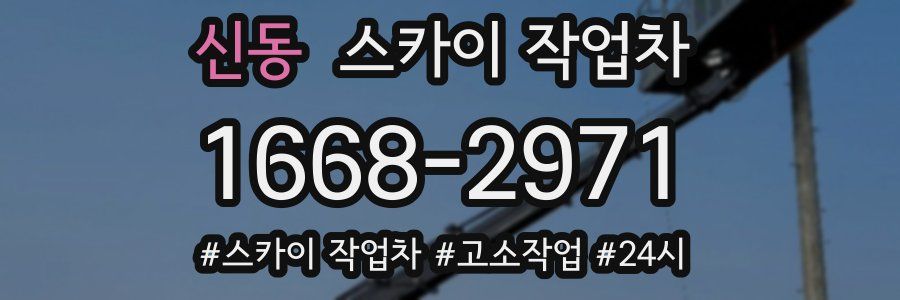 신동 스카이 작업차