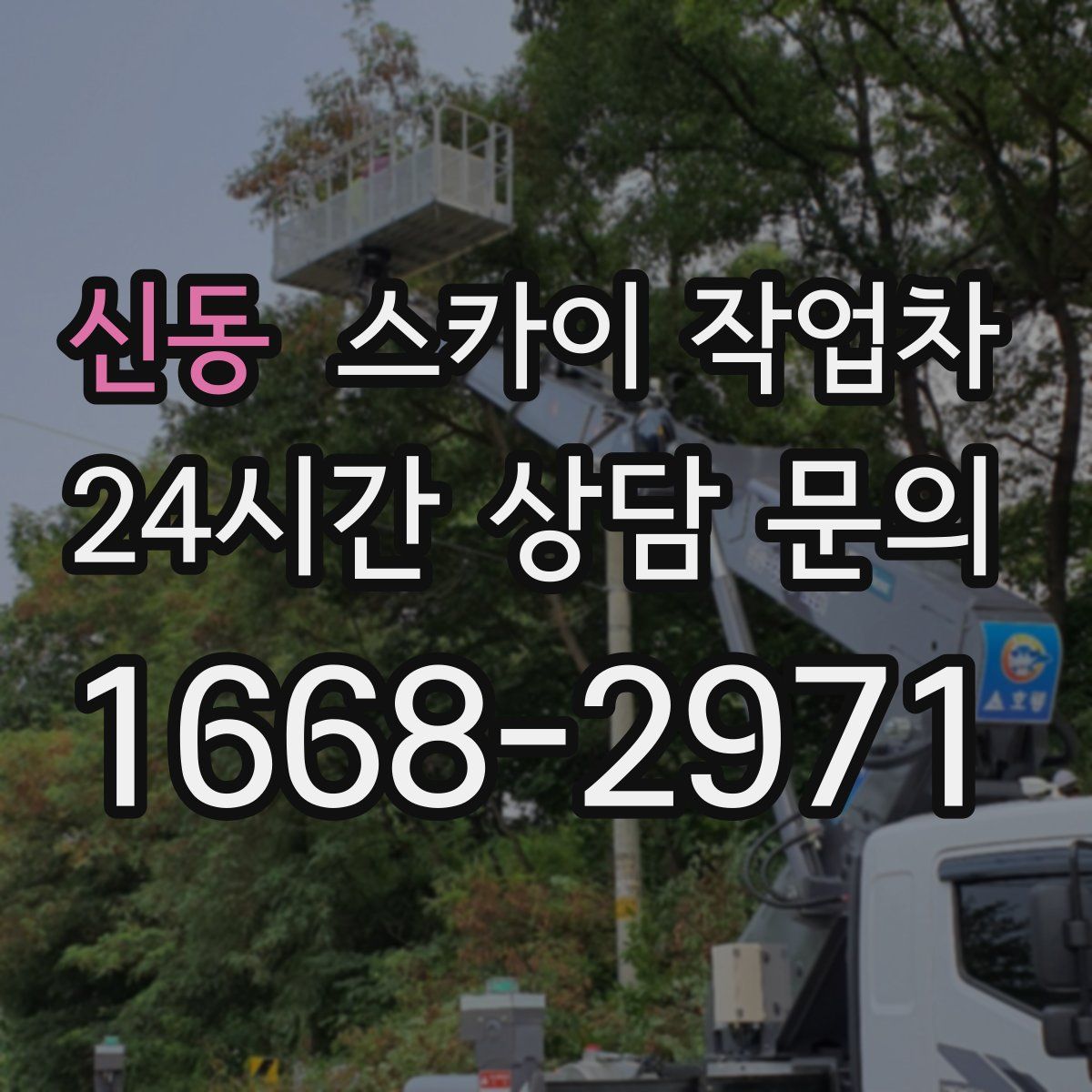 신동 스카이 작업차