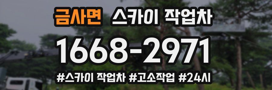 금사면 스카이 작업차