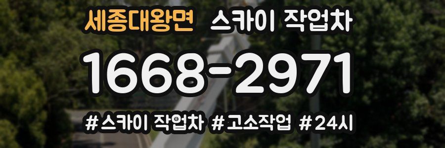 세종대왕면 스카이 작업차