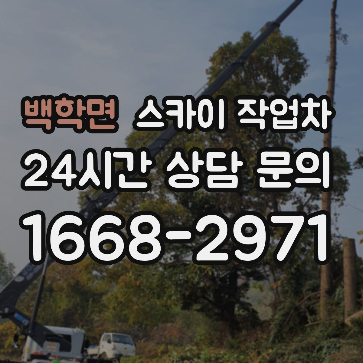 백학면 스카이 작업차