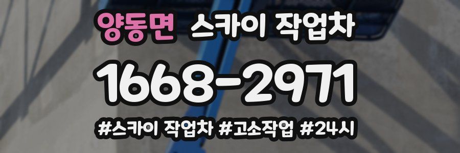 양동면 스카이 작업차