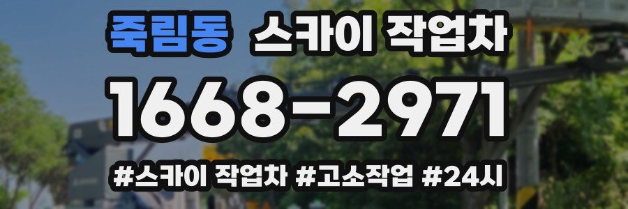 죽림동 스카이 작업차