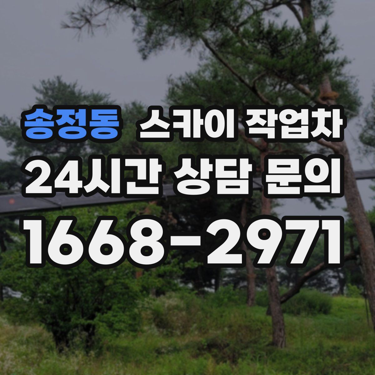 송정동 스카이 작업차