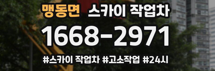 맹동면 스카이 작업차