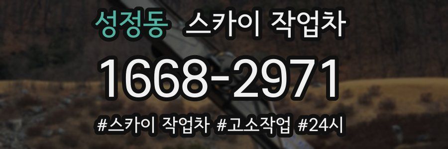 성정동 스카이 작업차