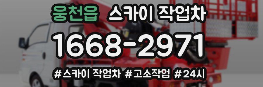 웅천읍 스카이 작업차