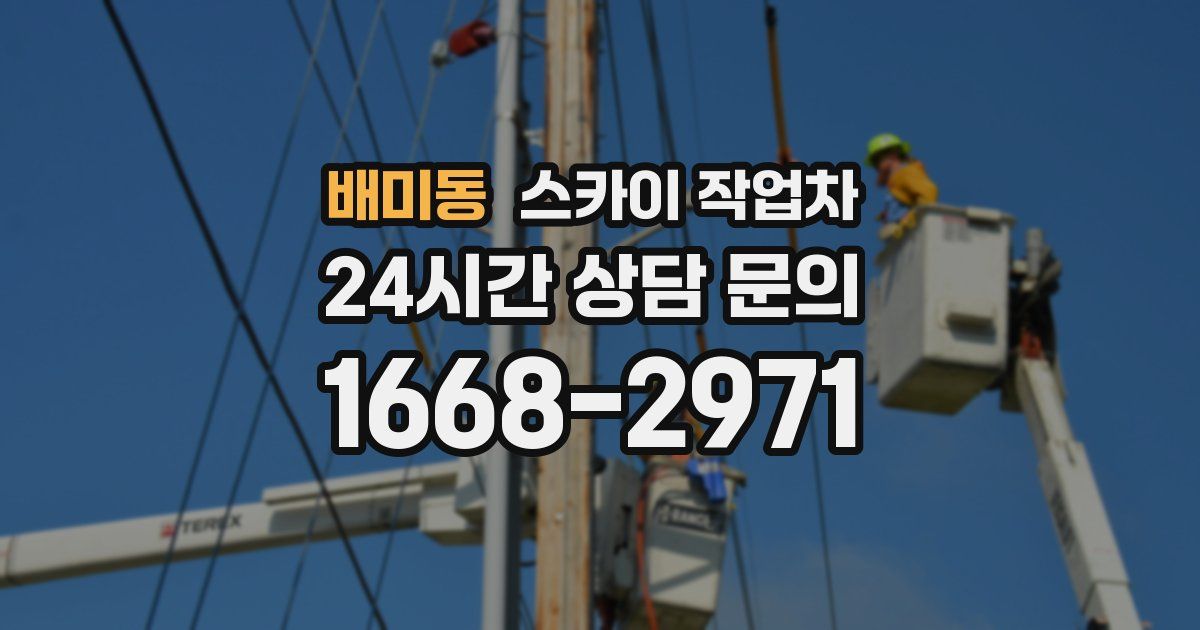 배미동 스카이 작업차
