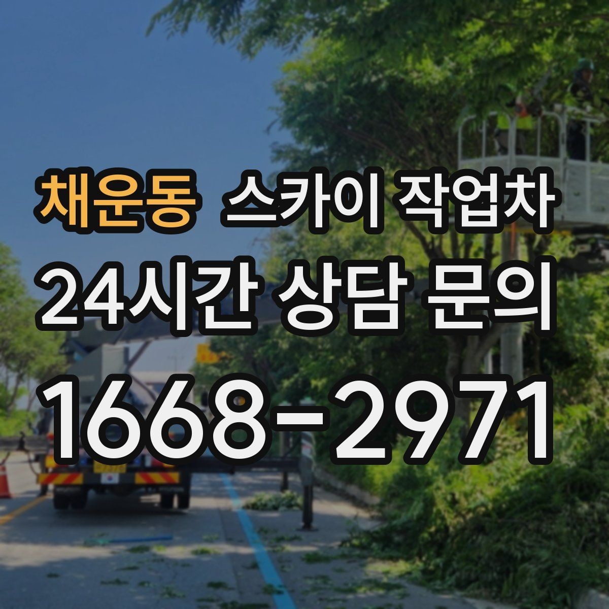 채운동 스카이 작업차 단기 작업과 장기 작업 진행 방식 차이