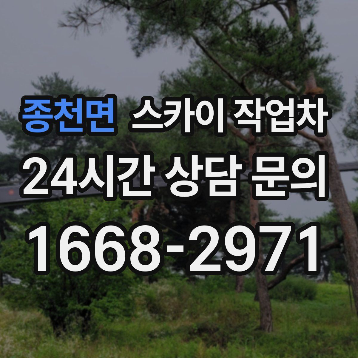 종천면 스카이 작업차