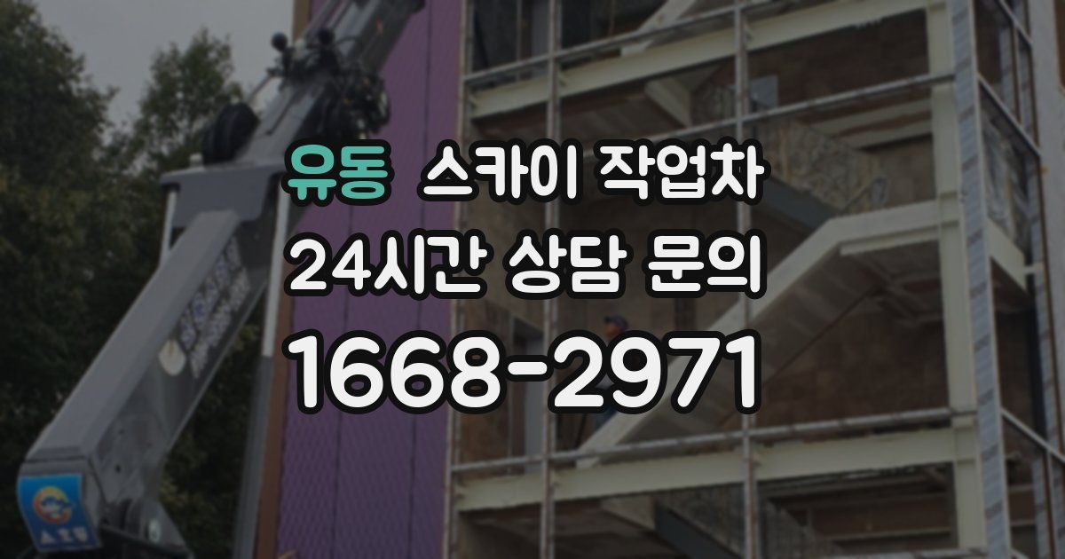 유동 스카이 작업차