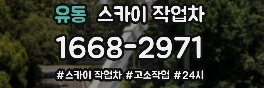 유동 스카이 작업차