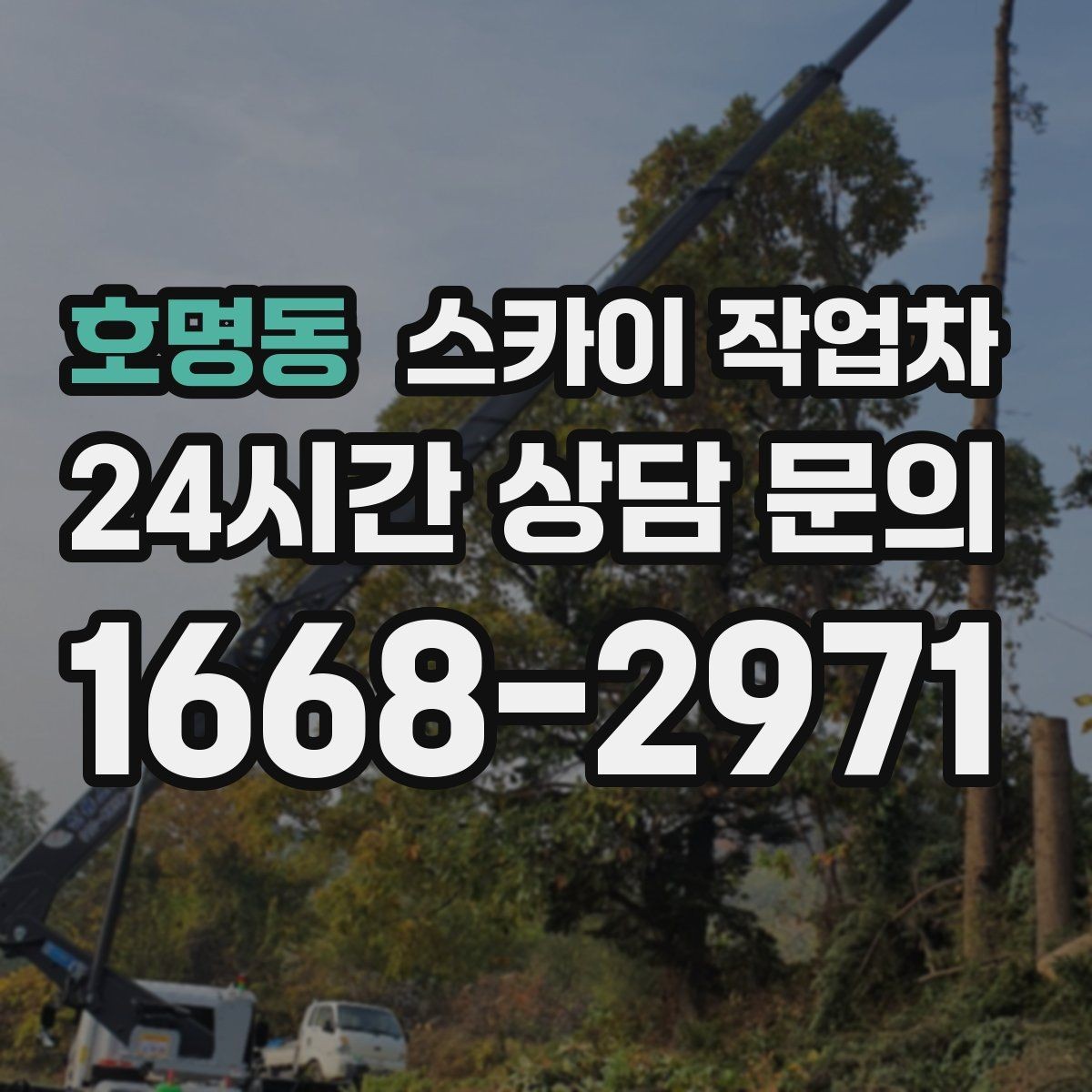 호명동 스카이 작업차 빗물받이 청소로 누수 원인 줄이기