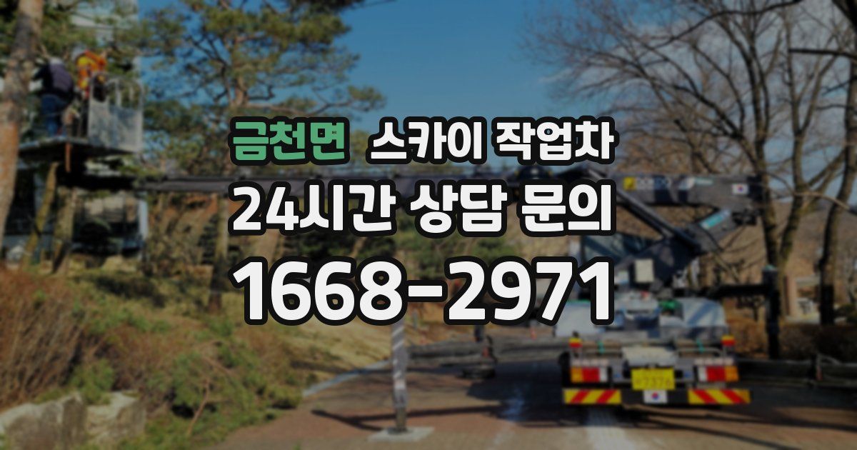 금천면 스카이 작업차