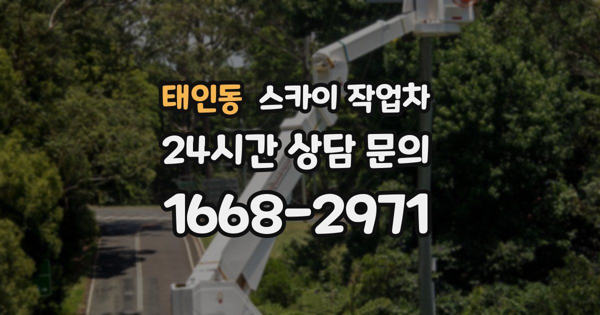 태인동 스카이 작업차