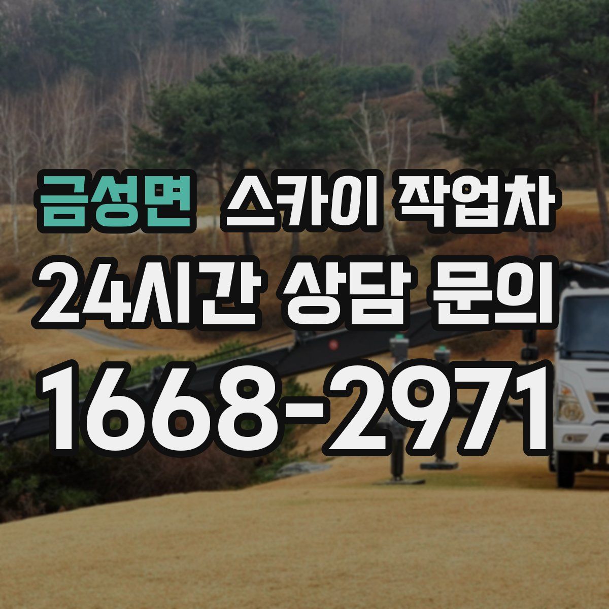 금성면 스카이 작업차