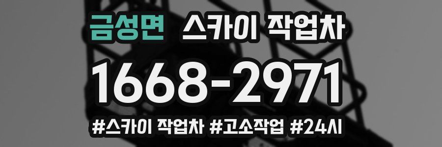 금성면 스카이 작업차