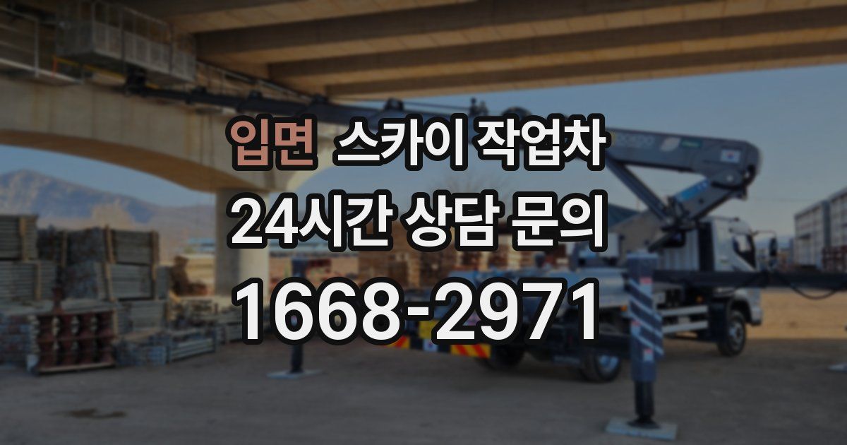 입면 스카이 작업차
