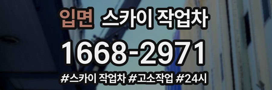 입면 스카이 작업차