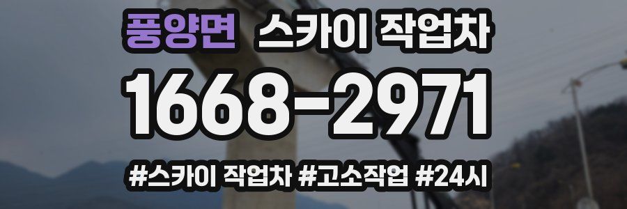 풍양면 스카이 작업차