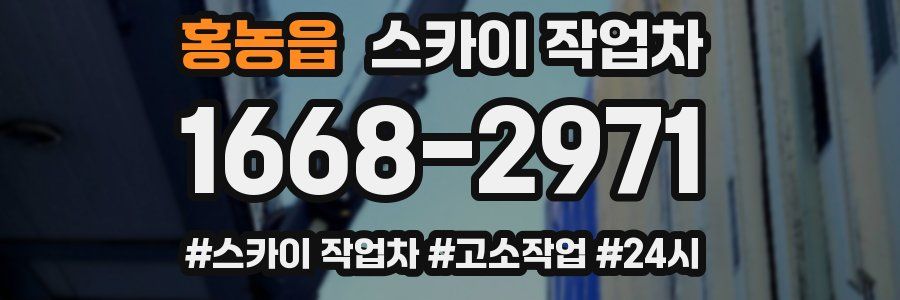 홍농읍 스카이 작업차