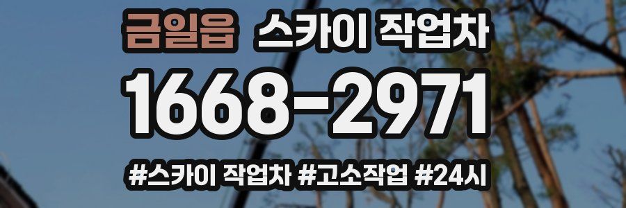 금일읍 스카이 작업차