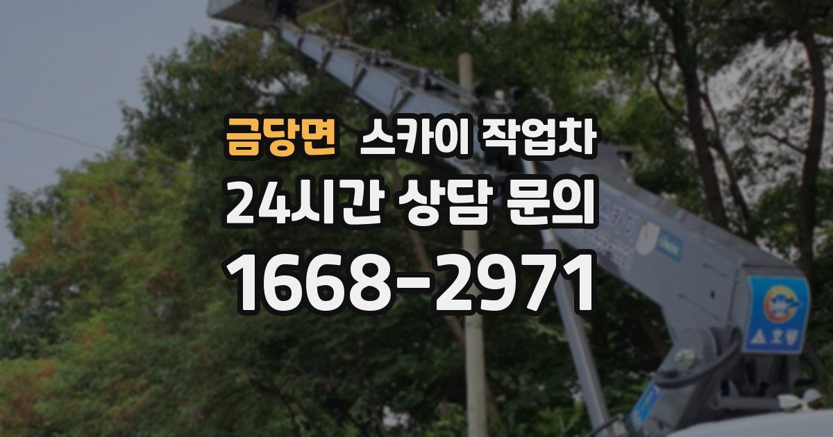 금당면 스카이 작업차