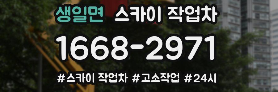 생일면 스카이 작업차