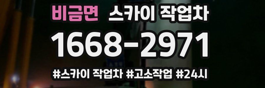 비금면 스카이 작업차