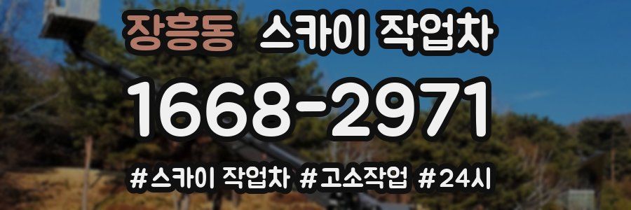 장흥동 스카이 작업차