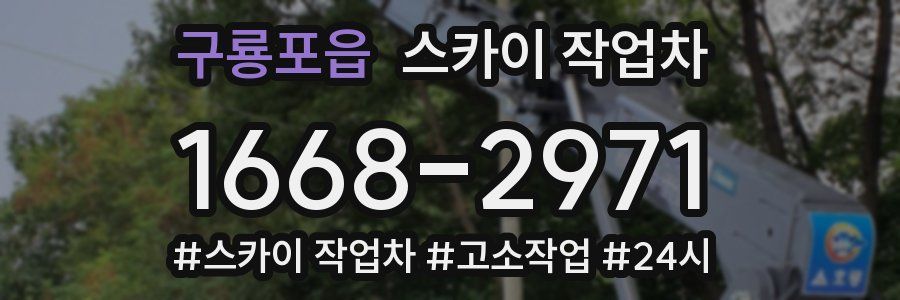 구룡포읍 스카이 작업차