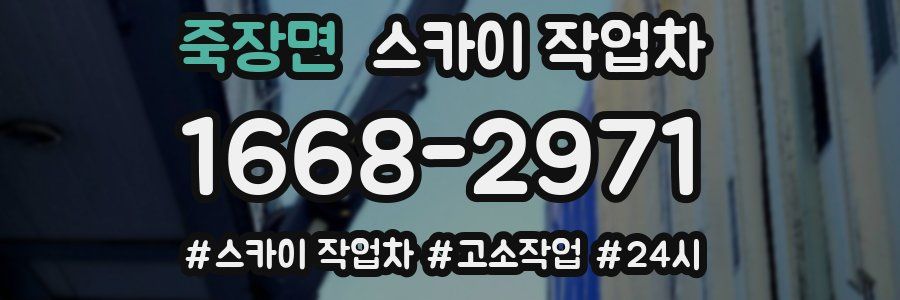 죽장면 스카이 작업차