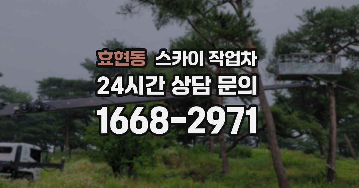 효현동 스카이 작업차