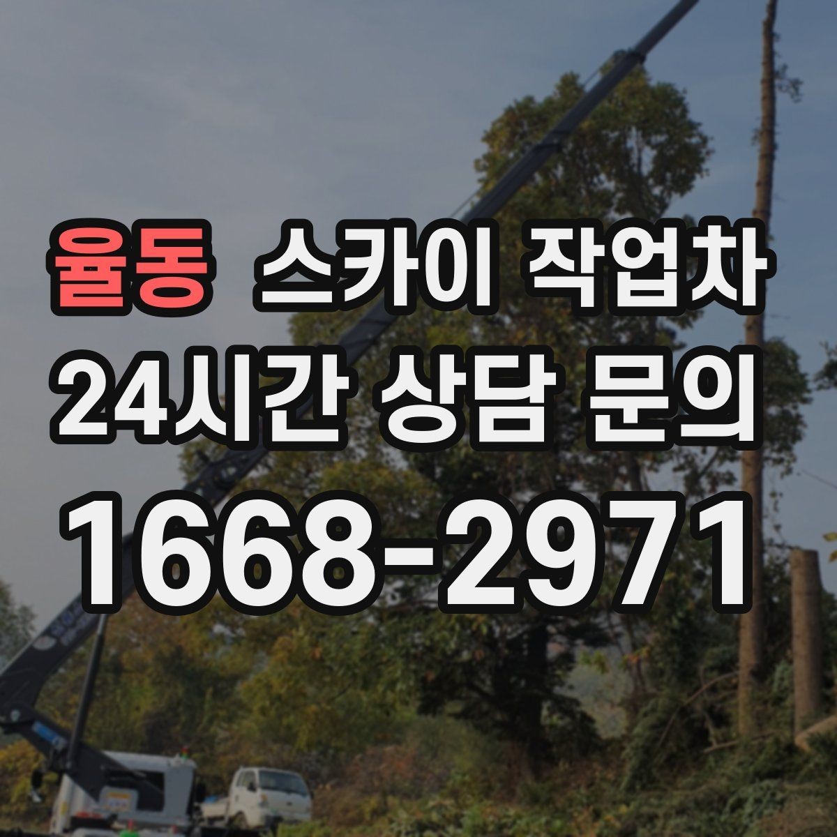 율동 스카이 작업차 간판 교체 비용 줄이는 일정 계획