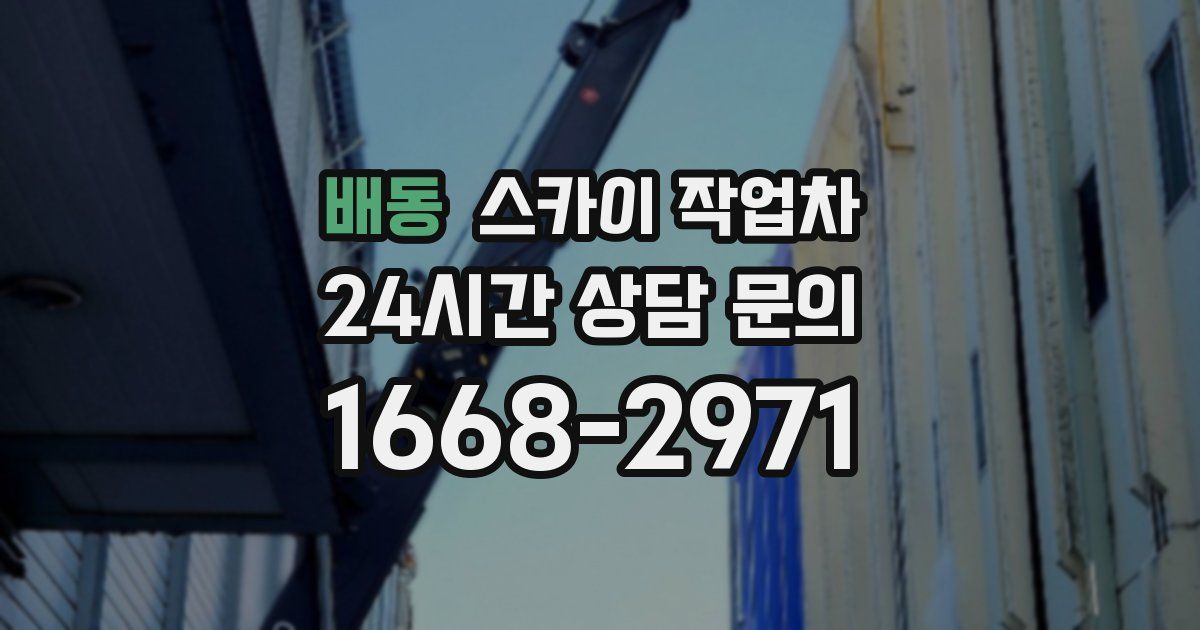 배동 스카이 작업차