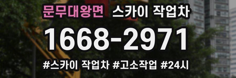 문무대왕면 스카이 작업차