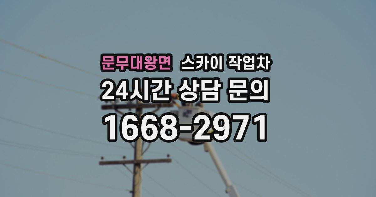 문무대왕면 스카이 작업차