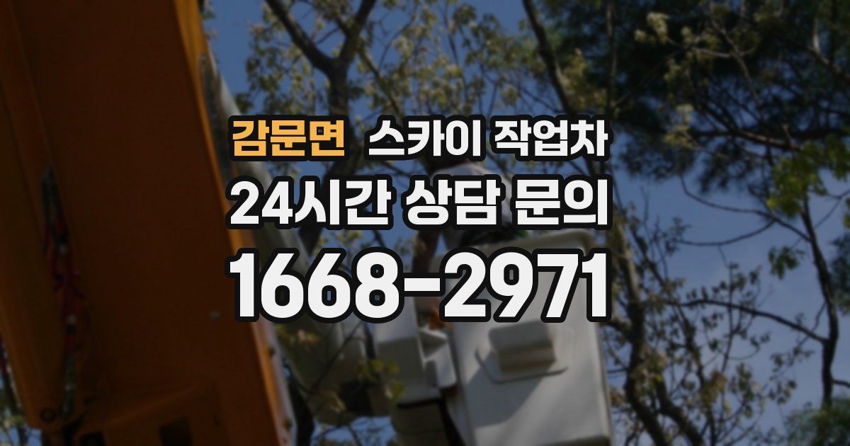 감문면 스카이 작업차