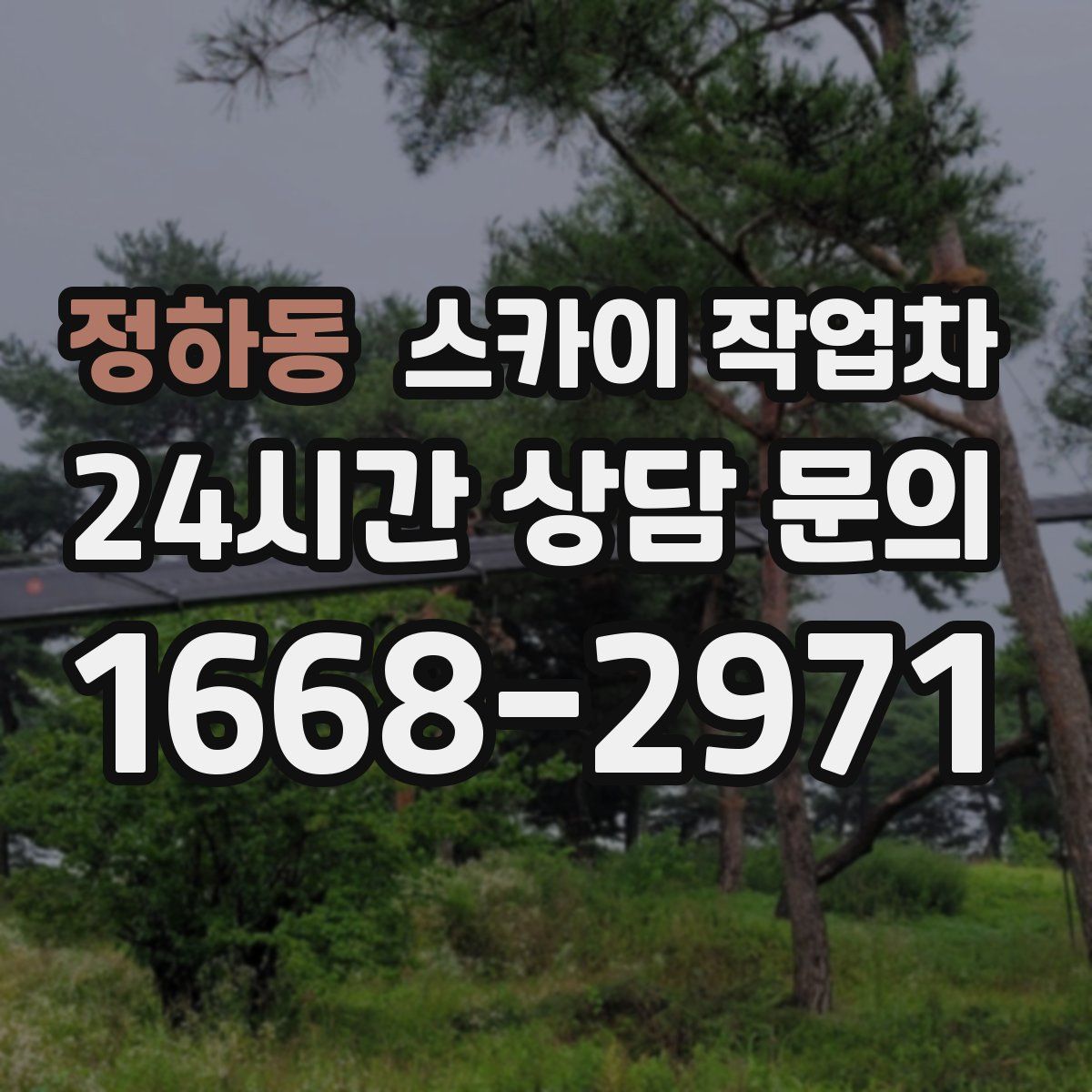 정하동 스카이 작업차