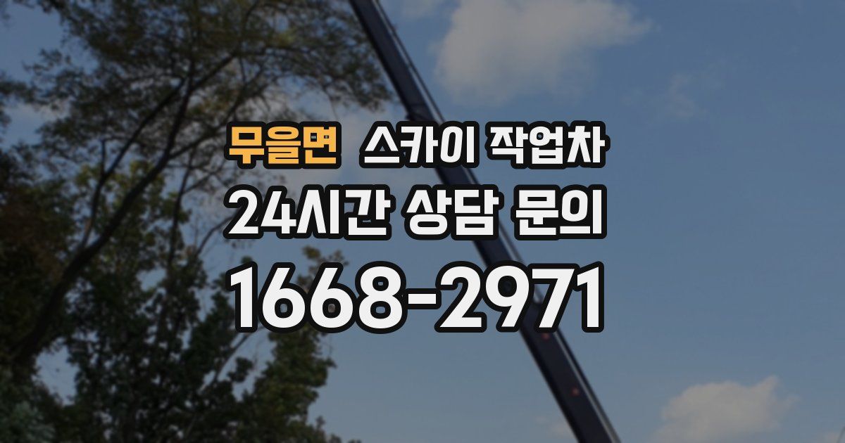 무을면 스카이 작업차
