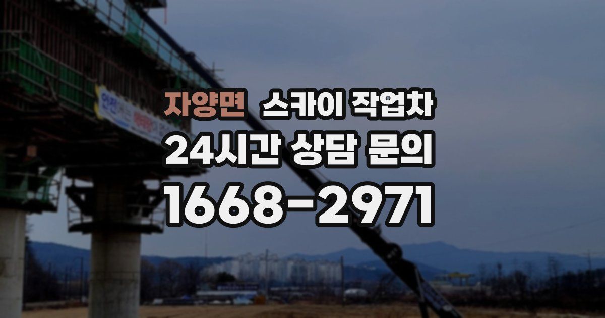 자양면 스카이 작업차